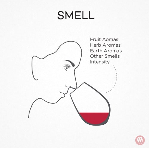 how to taste wine step 2