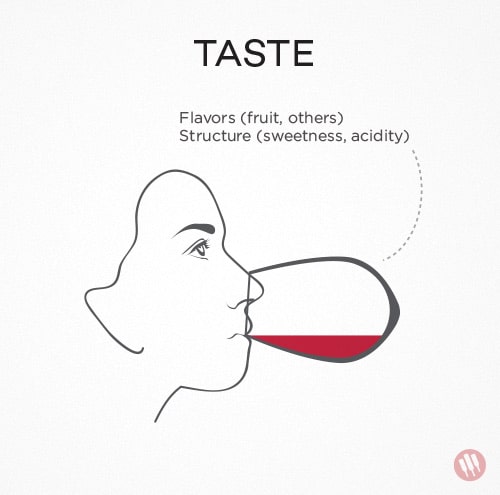 how to taste wine step 3