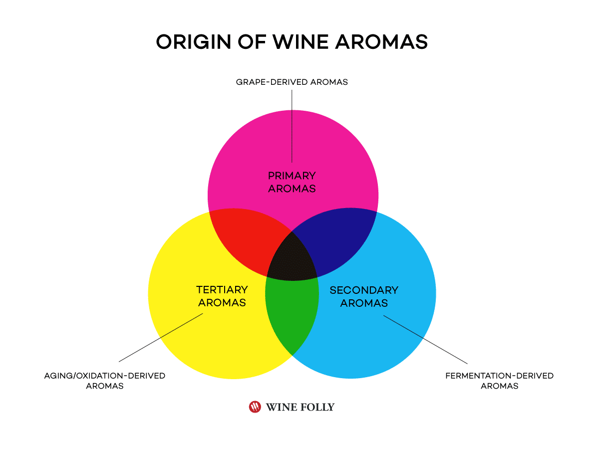 origin of wine aromas wine folly