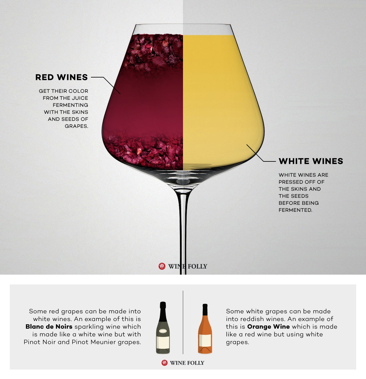 white vs red wine fermentation winefolly